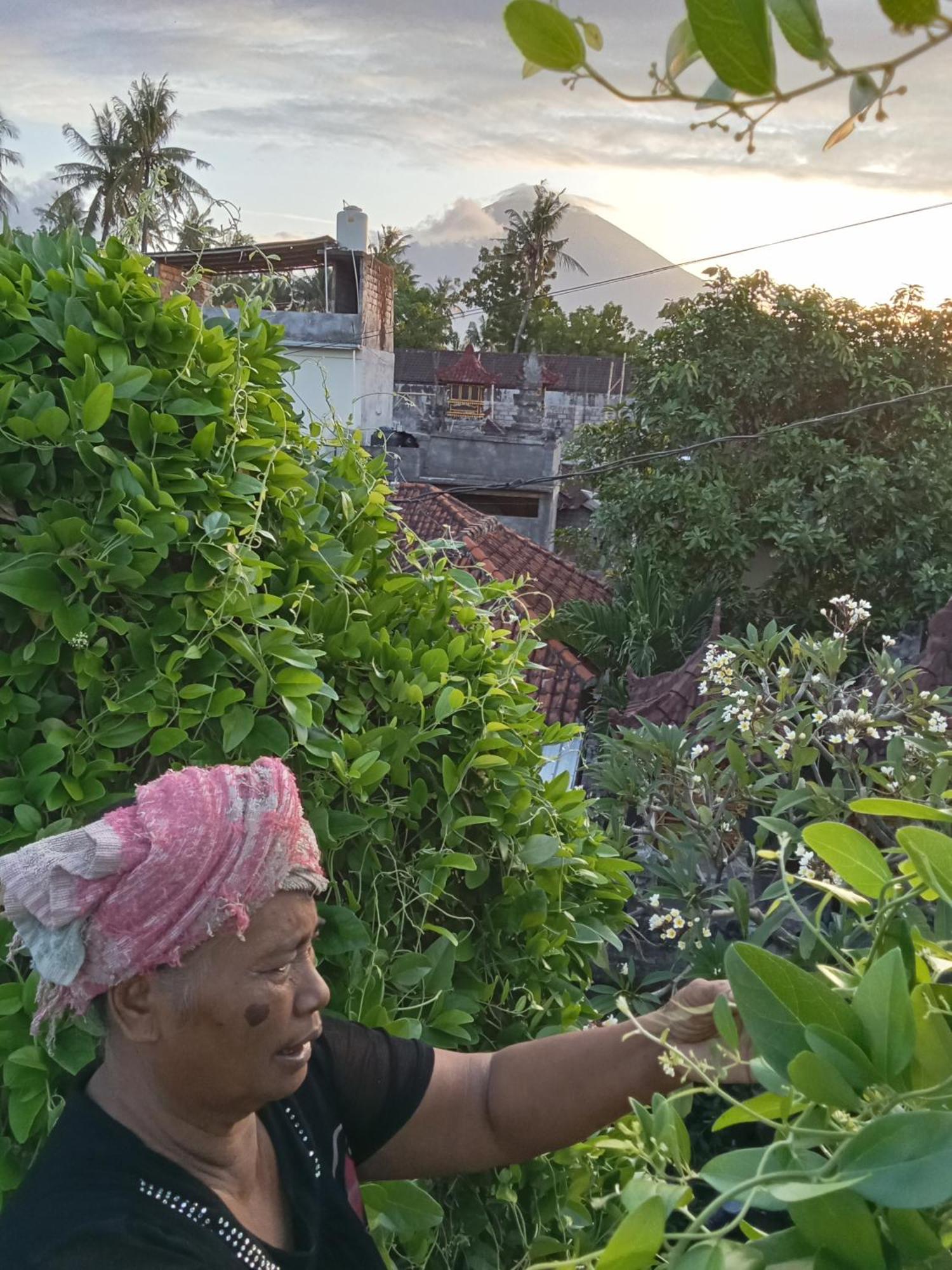 Komang Amed (Bali)